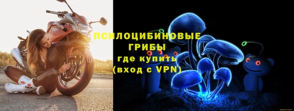spice Алзамай