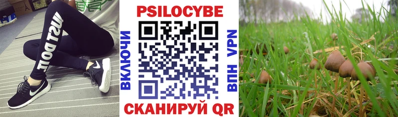 Галлюциногенные грибы Magic Shrooms  магазин  наркотиков  Кемерово 